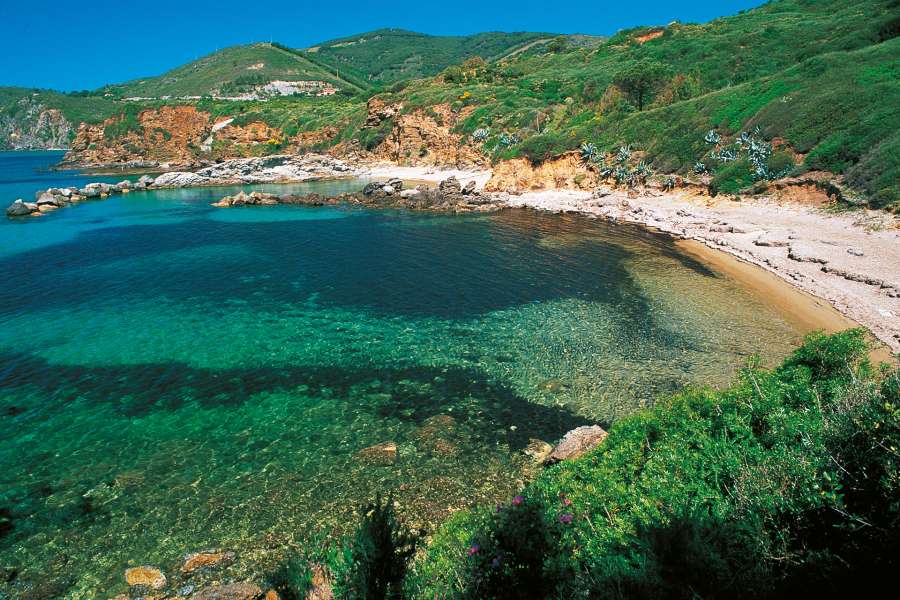 All’Elba con il tuo piccolo amico All’Elba con il tuo piccolo amico